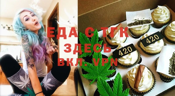 хмурый Новозыбков