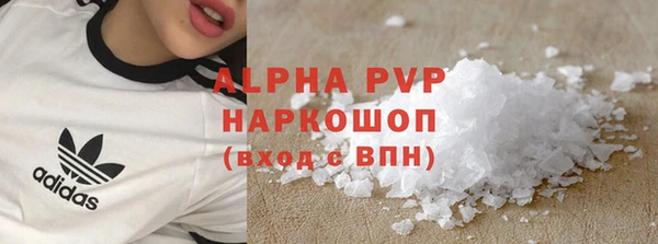 хмурый Новозыбков