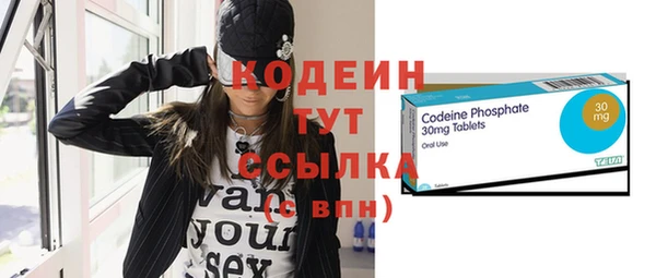 хмурый Новозыбков