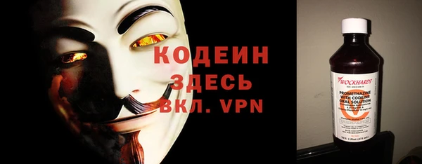 хмурый Новозыбков