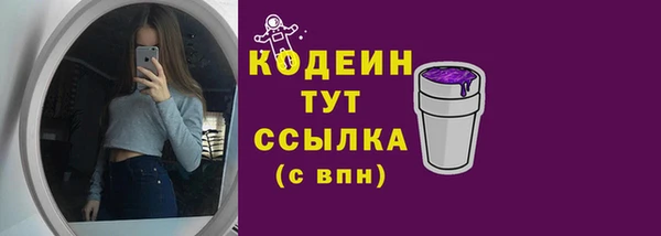 хмурый Новозыбков
