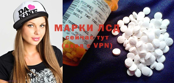 хмурый Новозыбков