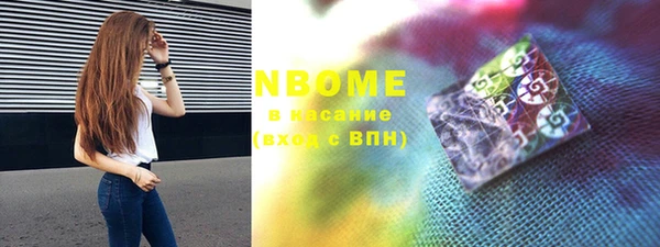 хмурый Новозыбков